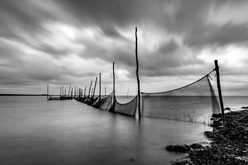 Netzen im Wattenmeer auf der Insel Texel. von Texel eXperience