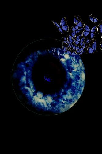 Augenschmetterling - in Farbe