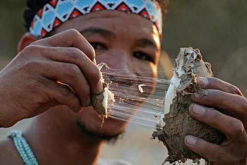 Bosjesman in Botswana