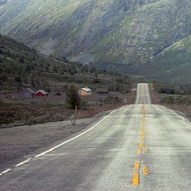 on the way by Sebastian Stef