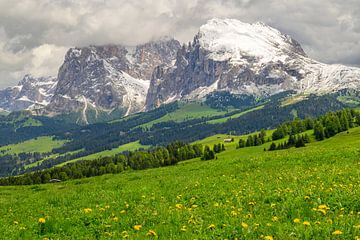 Seiser Alm of Alpe di Siusi in de Dolomieten in het voorjaar