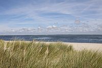 Spitze im Ellenbogen auf Sylt mit Blick in Richtung Römö