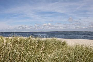 Spitze im Ellenbogen auf Sylt mit Blick in Richtung Römö