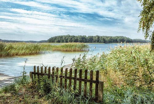 Prachtig, afgelegen strand en steiger in Polen in hartje zomer. Eenzame idylle zonder mensen in de vrije natuur. Houten steiger op het strand en aanlegsteiger voor boten. Fantastische natuur in een afgelegen paradijs.