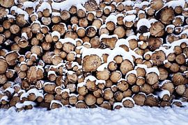 Holzhaufen von Oliver Henze