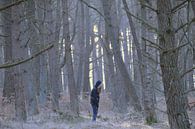 Alleen in het bos / Alone in the forest van Leinsview C thumbnail