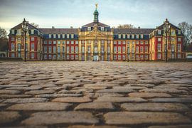 Münster Castle by Friedhelm Peters