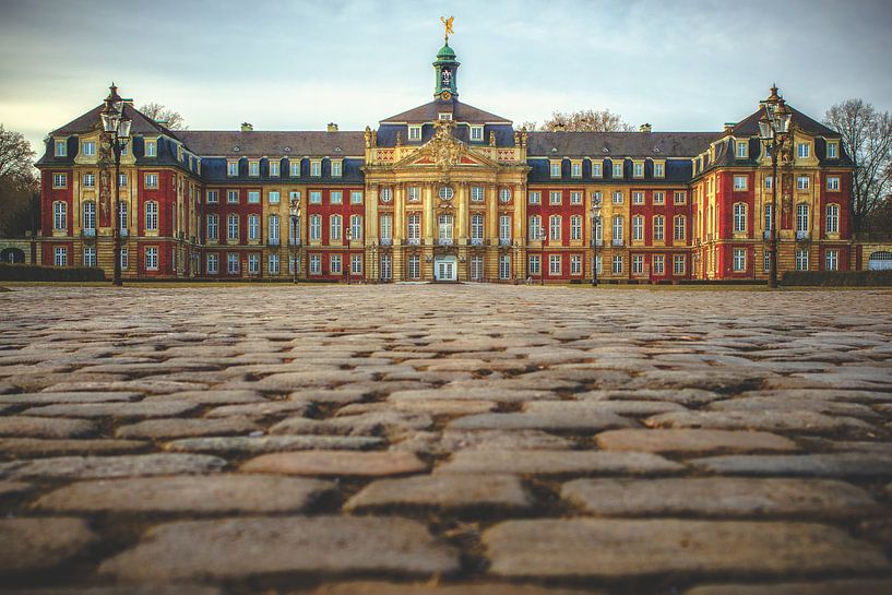 Schloss Münster von Friedhelm Peters