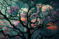 Sea of flowers & wild branches