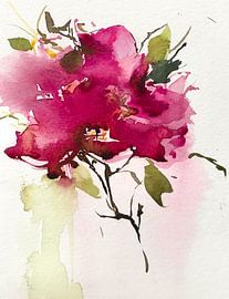 Roses by annemiek art