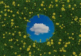Un miroir rond couché sur une prairie verte reflète un nuage isolé sur Besa Art