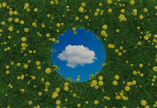 Un miroir rond couché sur une prairie verte reflète un nuage isolé