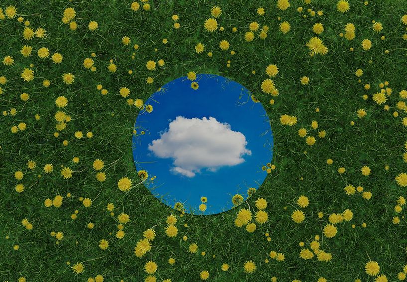 Lying round mirror on green meadow reflects single cloud by Besa Art
