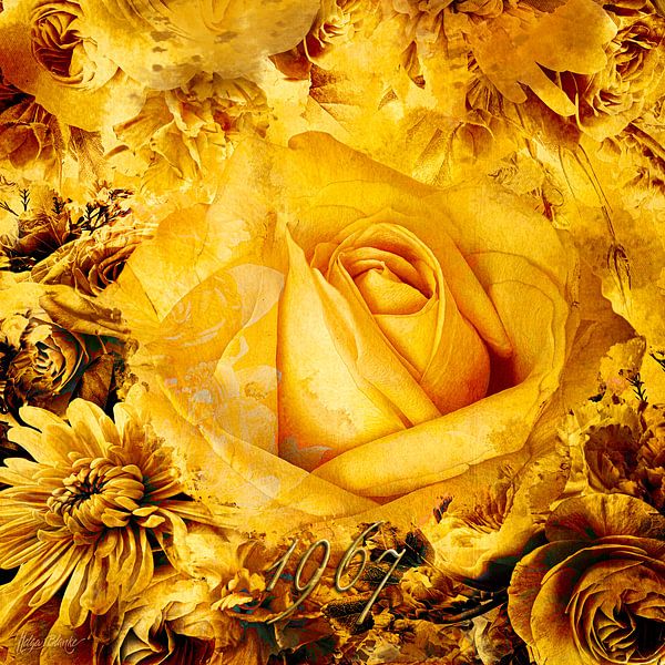 A rose and a Little Historical Atmosphere from the 60's..1967.... by Helga Blanke