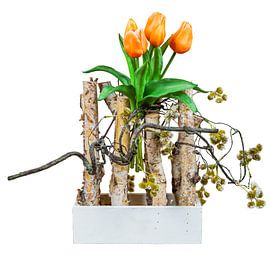 Décoration printanière avec un bouquet de tulipes sur fond blanc sur ManfredFotos