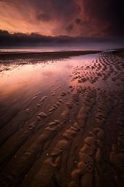 Der Anfang vom Ende von Bob Daalder