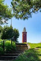 Vuurtoren Ouddorp in Zeeland tussen de bomen
