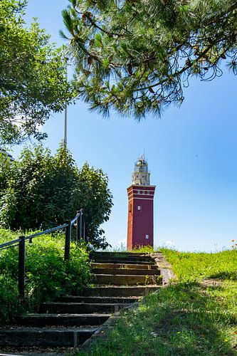 Vuurtoren Ouddorp in Zeeland tussen de bomen