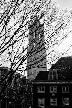 Silhouet van de Dom in Utrecht in zwart-wit
