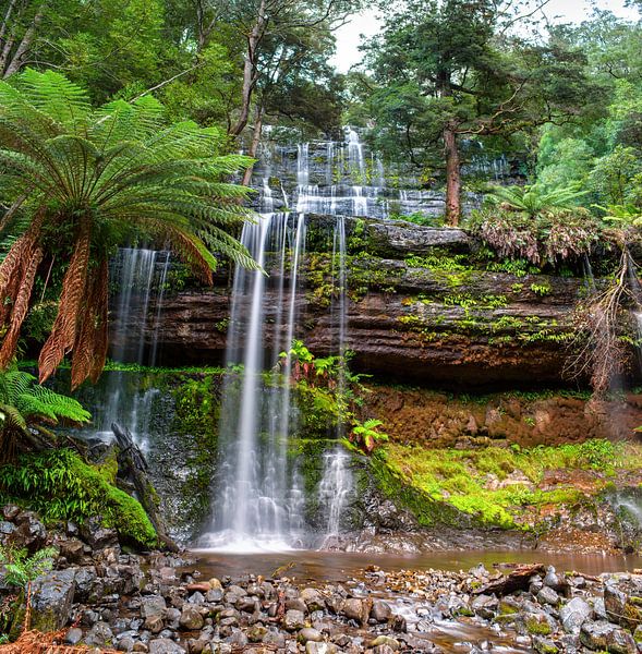 The Russell Falls by Yevgen Belich