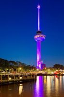 Rosa Euromast bei Nacht in Rotterdam
