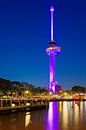 Pink Euromast @ night in Rotterdam by Anton de Zeeuw thumbnail