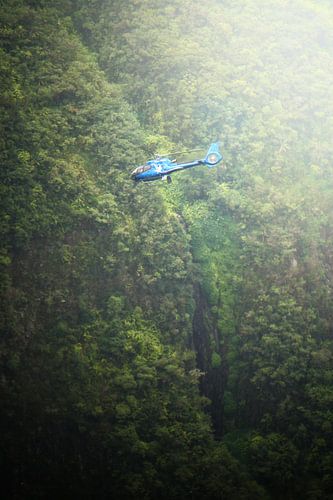 Vol vers Jurassic Park sur Anajat Raissi