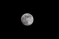 Volle maan