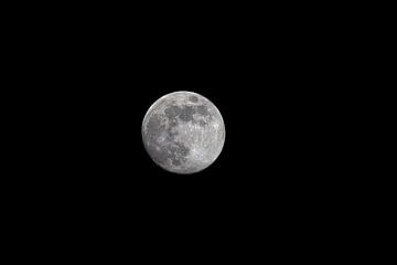 Volle maan van Roos Piek