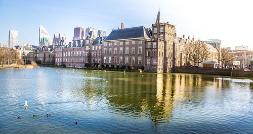 Hofvijver en Torentje 