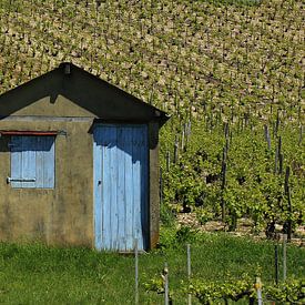 Cadoles (hiding place) by Yvonne Blokland