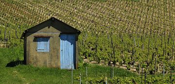 Cadoles (hiding place) sur Yvonne Blokland