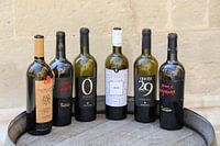 Vino di Lecce