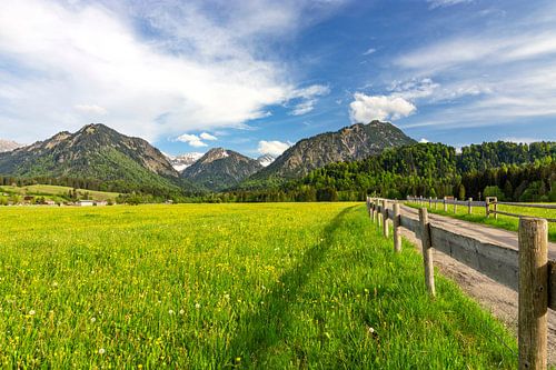 Vroege zomer in de Allgäu