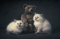 Kittens and the bear by Elles Rijsdijk thumbnail
