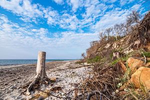 Landschaft an der Küste der Ostsee in Graal-Müritz