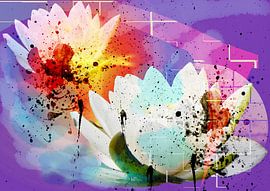 Waterlelie by Ans van der Heide