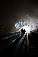 Tunnelvisie