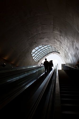 Tunnelvisie by Inge Schepers