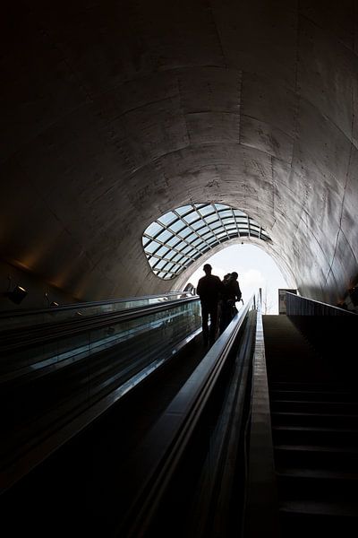 Tunnelvisie von Inge Schepers