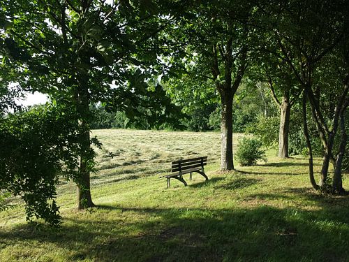 Bankje in het park