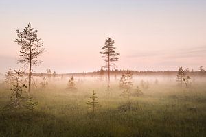 Swedish Lapland - Haparanda field van Claire Droppert