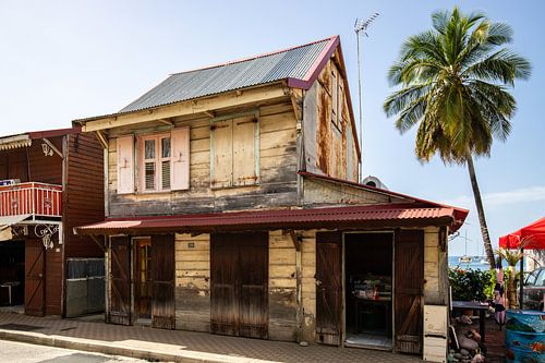 Typisch houten huis uit de Caraïben met palmboom op Guadeloupe