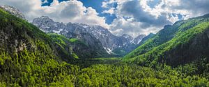 Logar-Tal in den Kamniker Savinja-Alpen in Slowenien