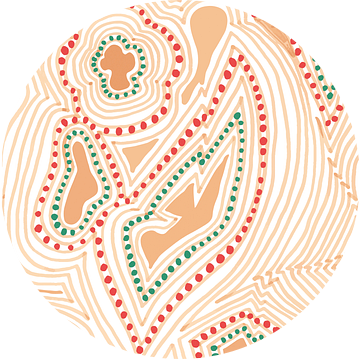 Aboriginal DNA van Julien Willems Ettori