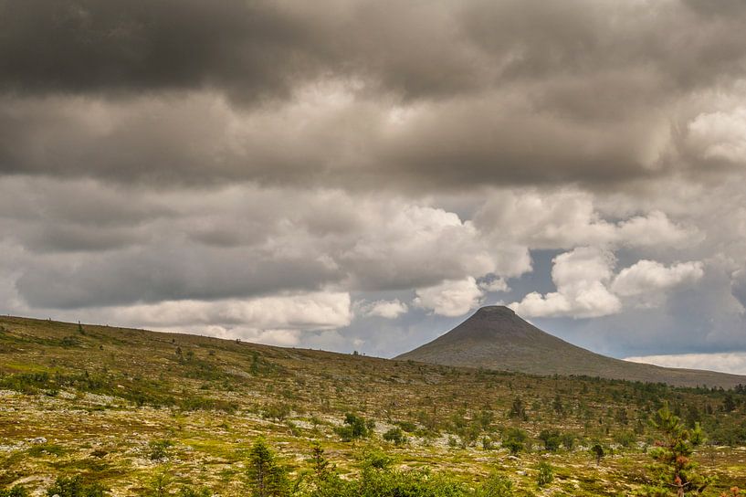 Nipfjället Idrefjäll, regio Dalarna in Midden-Zweden.  van Margreet Frowijn