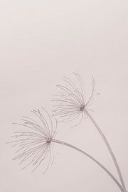 Beauty of Nature 7 by Andrea Haase