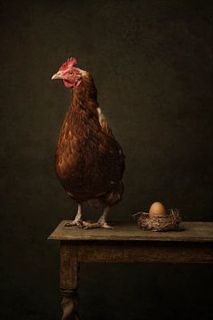 La poule et l'œuf sur Carolien van Schie