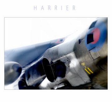 Harrier 2 van CoolMotions PhotoArt