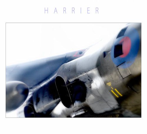 Harrier 2